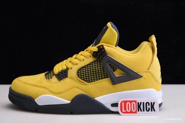 Air Jordan CT8527-700 Lightning Retro 4 1005